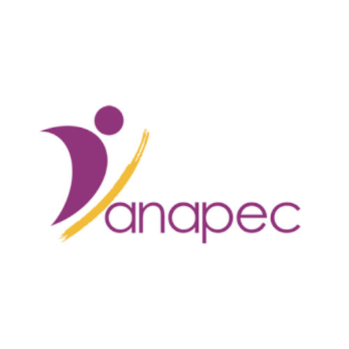 مباراة توظيف الوكالة الوطنية لإنعاش التشغيل والكفاءات 2026 logo